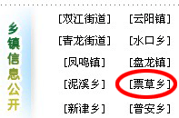 一字之差威胁政府网站的公信力