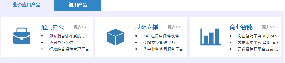 北京华宇软件股份有限公司产品
