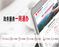 国脉智库丨中国政务服务平台体验及发展建议